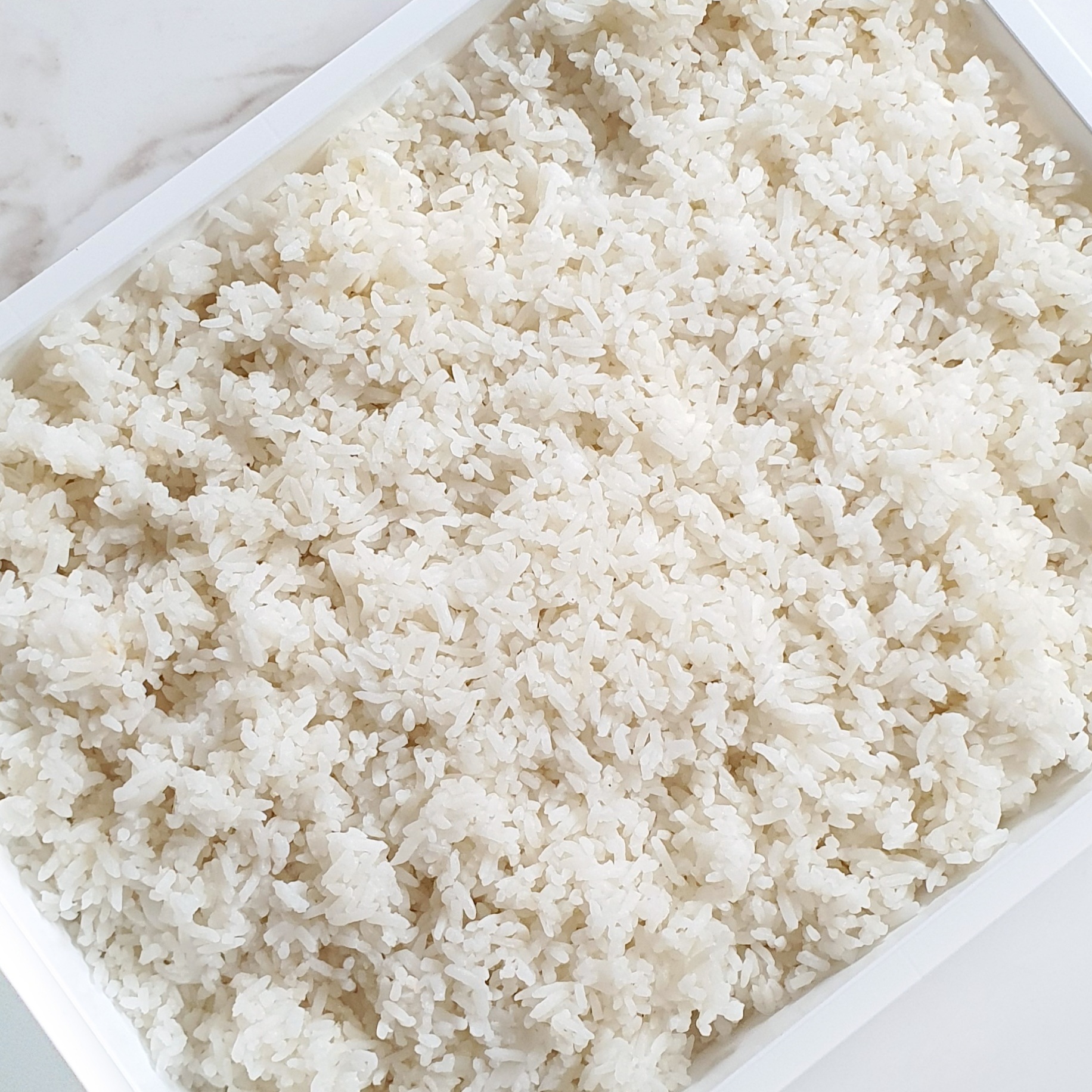 Plain Rice